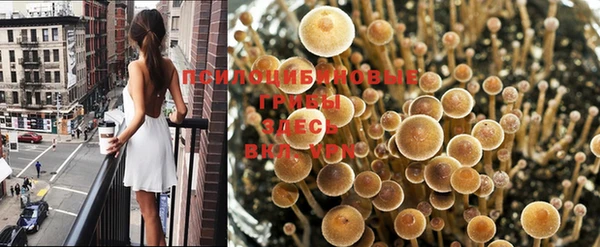 гидра Бабаево