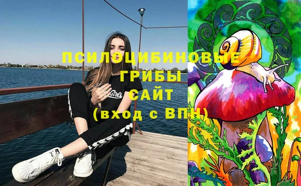 хмурый Бронницы