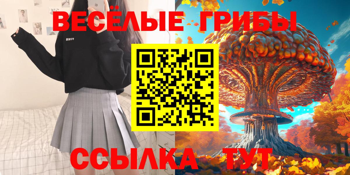 Псилоцибиновые грибы прущие грибы  Псилоцибиновые грибы GOLDEN TEACHER  Боровичи  Вход с VPN 
