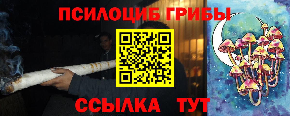 Псилоцибиновые грибы MAGIC MUSHROOMS Боровичи