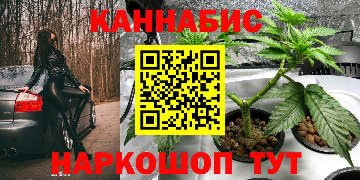 Бошки Шишки Amnesia  Боровичи  Марихуана гибрид  Марихуана Amnesia 